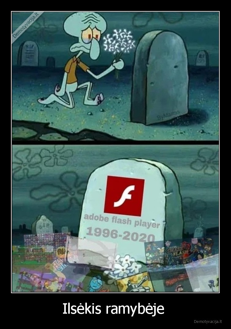 adobe, flash,ilsekis,ramybeje