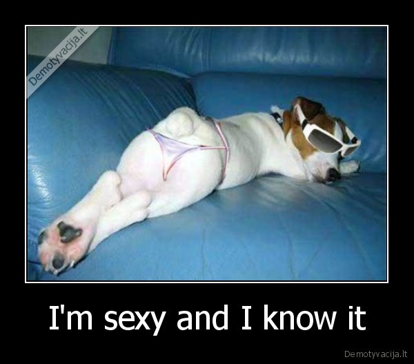 I'm sexy and I know it