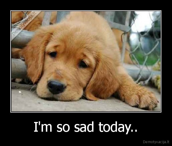 I'm so sad today..