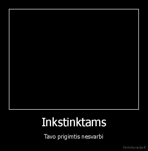 katinai,inkstinktai,lazeriai