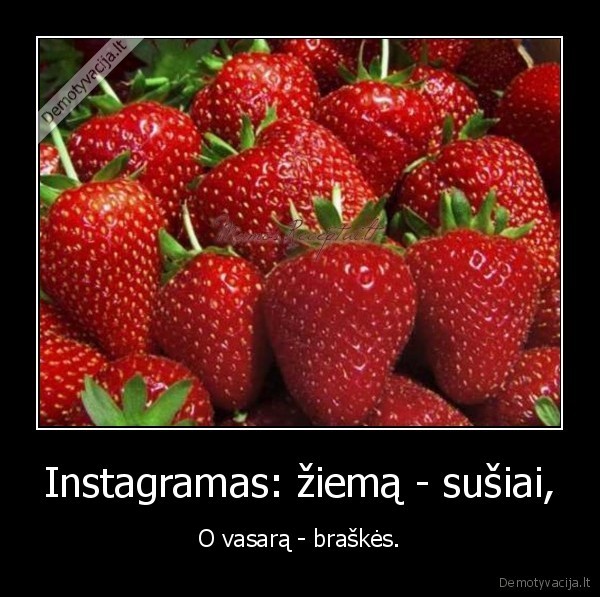 instagram,mada,maistas,vienodi