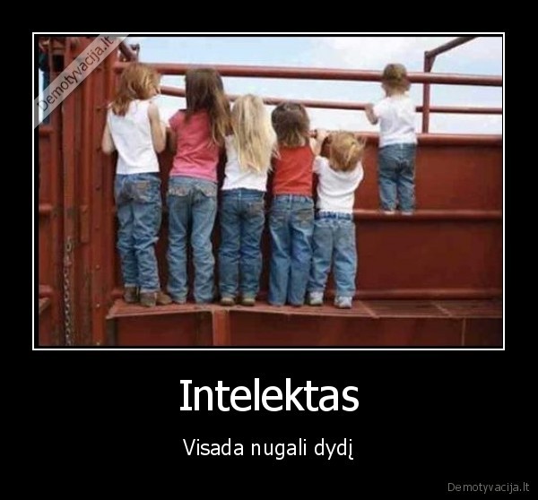 Intelektas