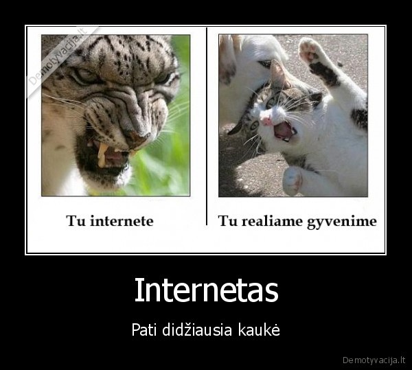 internetas, kauke, realybe