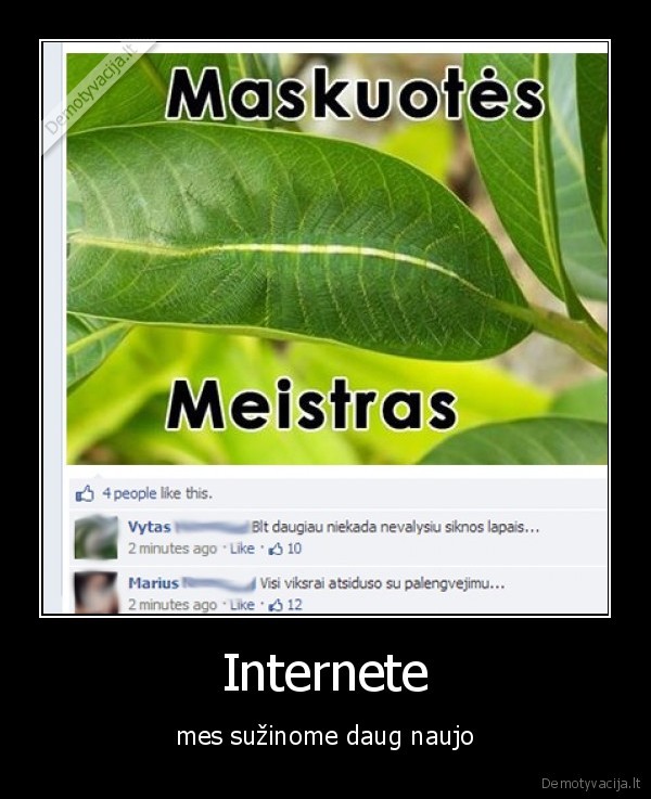 internetas,valyti,lapas