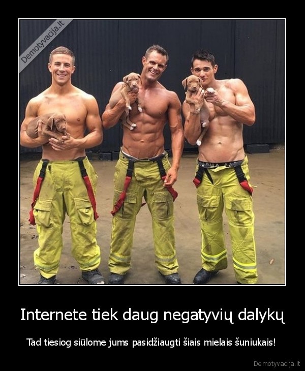 seksualus, gaisrininkai,mazi, suniukai