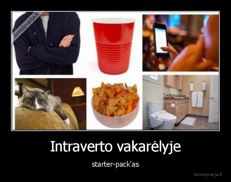 intravertas,vakarelis,starter, pack
