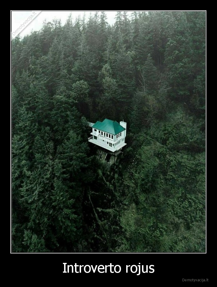 introvertas,namai,rojus,zmones