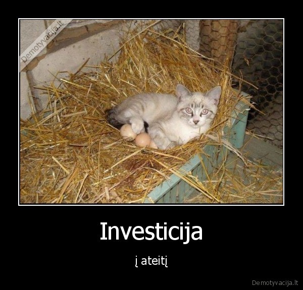 ateitis,investicija