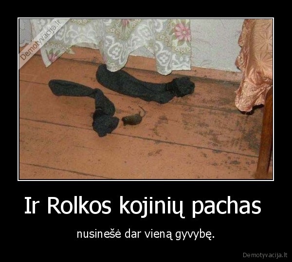 Ir Rolkos kojinių pachas 