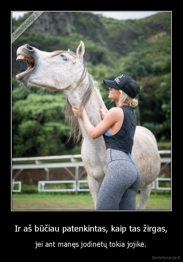 zirgas,jojike,mergina,sikna