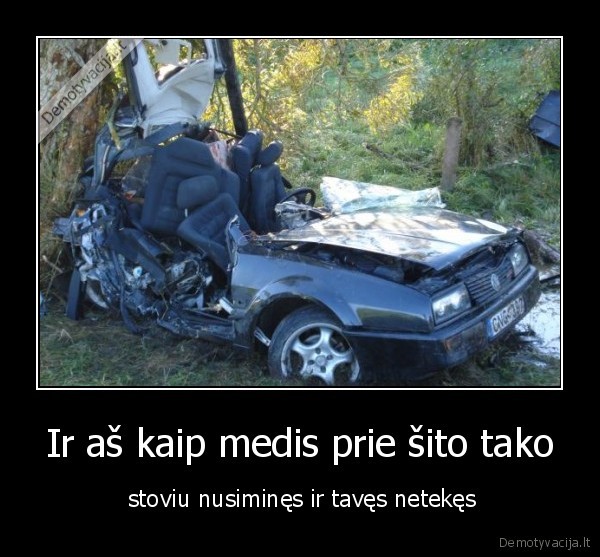 Ir aš kaip medis prie šito tako