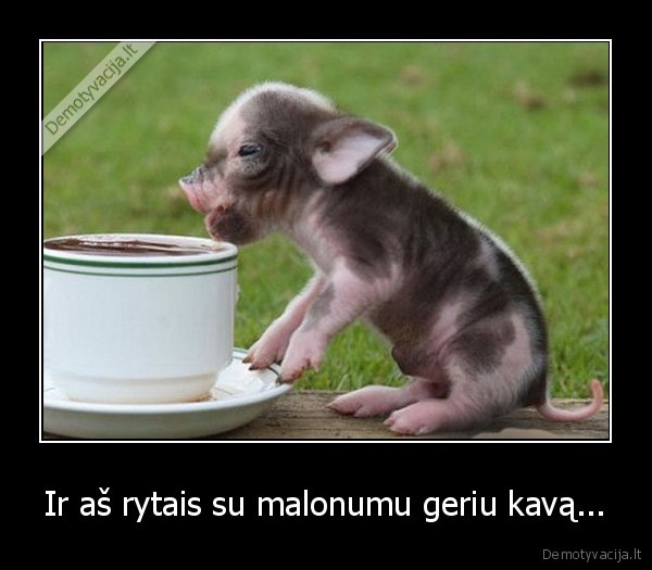 Ir aš rytais su malonumu geriu kavą...