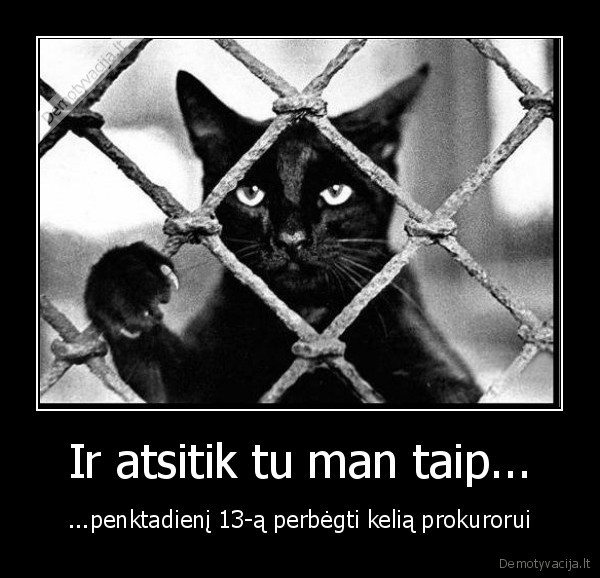 katinas,uz, grotu,penktadienis, 13,prokuroras