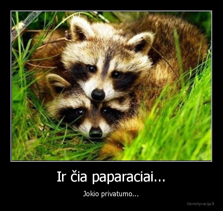 paparaciai,meskenai,nuotraukas,fotografas