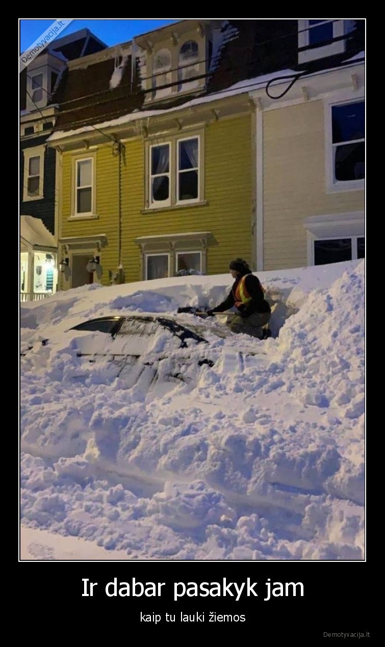 sniegas,ziema,laukiu