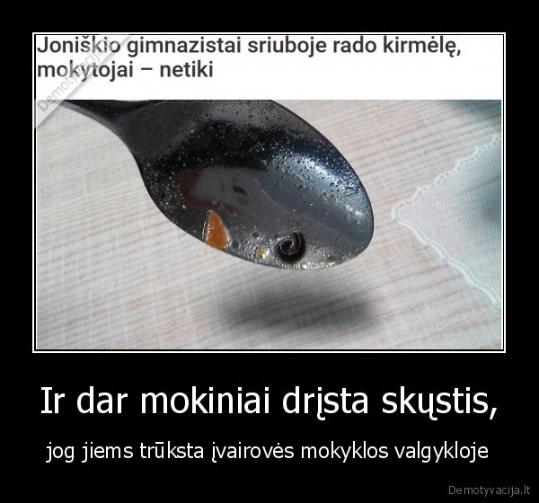 ivairove,valgykla,mokykla