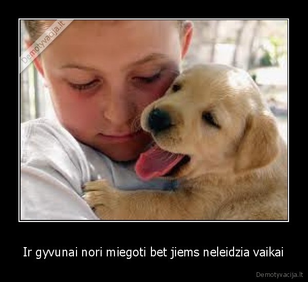 Ir gyvunai nori miegoti bet jiems neleidzia vaikai