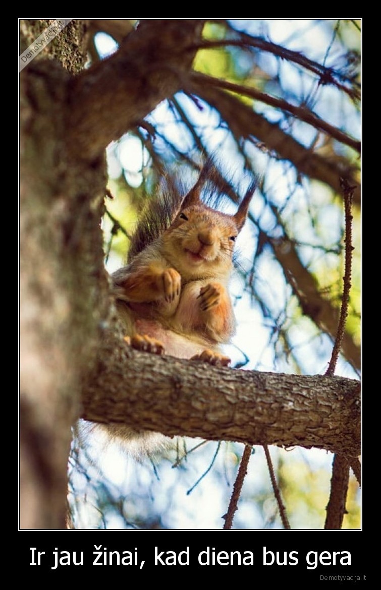 diena,gera,voveraite,vovere