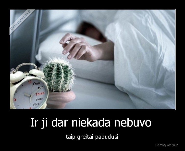 rytas,kaktusas,zadintuvas,laikrodis