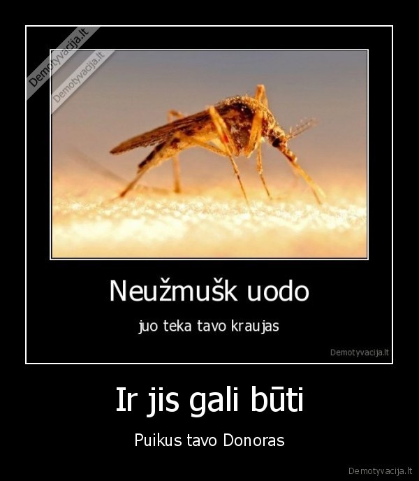 uodas, nori, tavo, kraujo, jis, yra, tavo, donoras, eik, kaku, jis, yra, tavo, bernas, ate