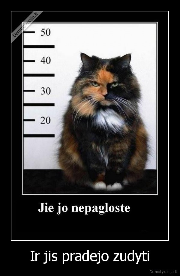 Ir jis pradejo zudyti