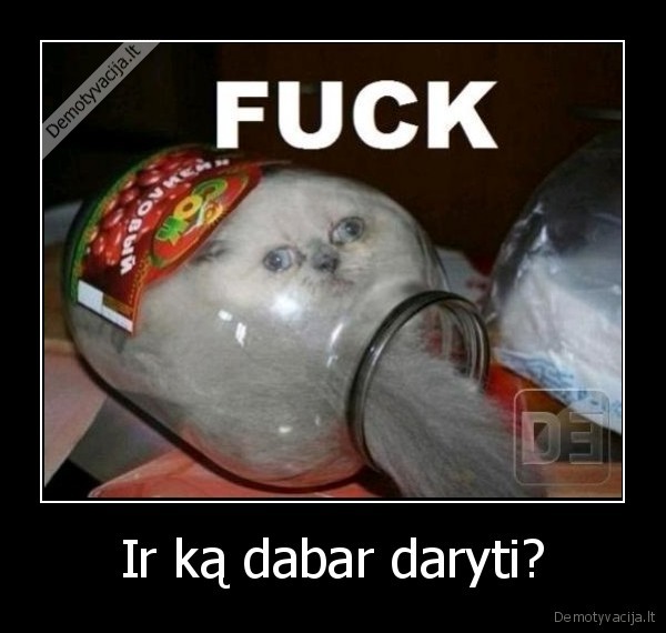 sloikas, kate, juokas, sudauzytas, sloikas