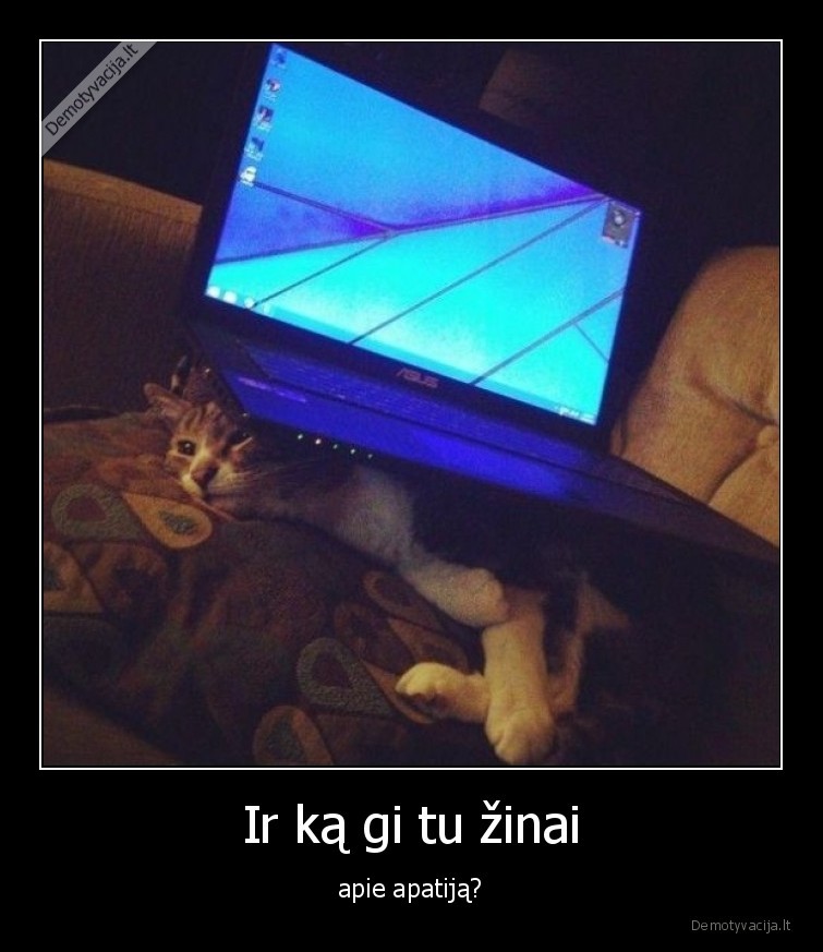 ka,zinai,apie,apatija