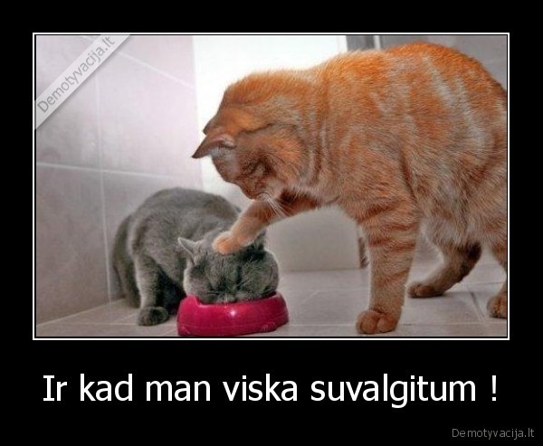 Ir kad man viska suvalgitum !