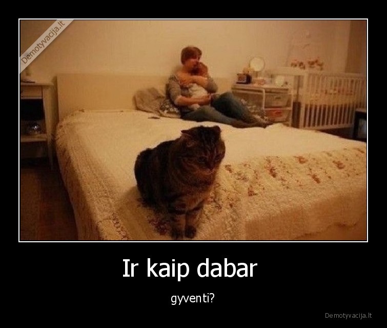kaip,gyventi,katinas,vaikas