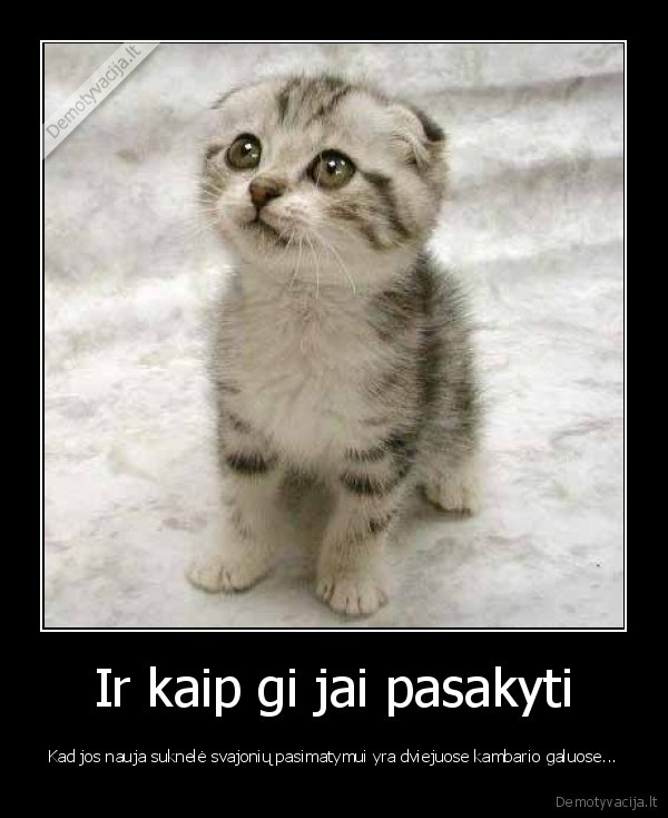 kieccius,kac, kac, bubiliuk,kac, kac