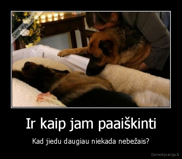 sunu, draugyste,mire, suo,suniska, draugyste