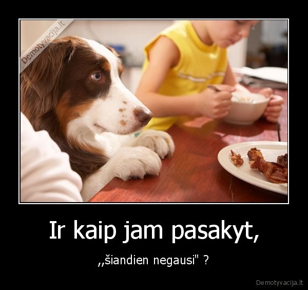 Ir kaip jam pasakyt,