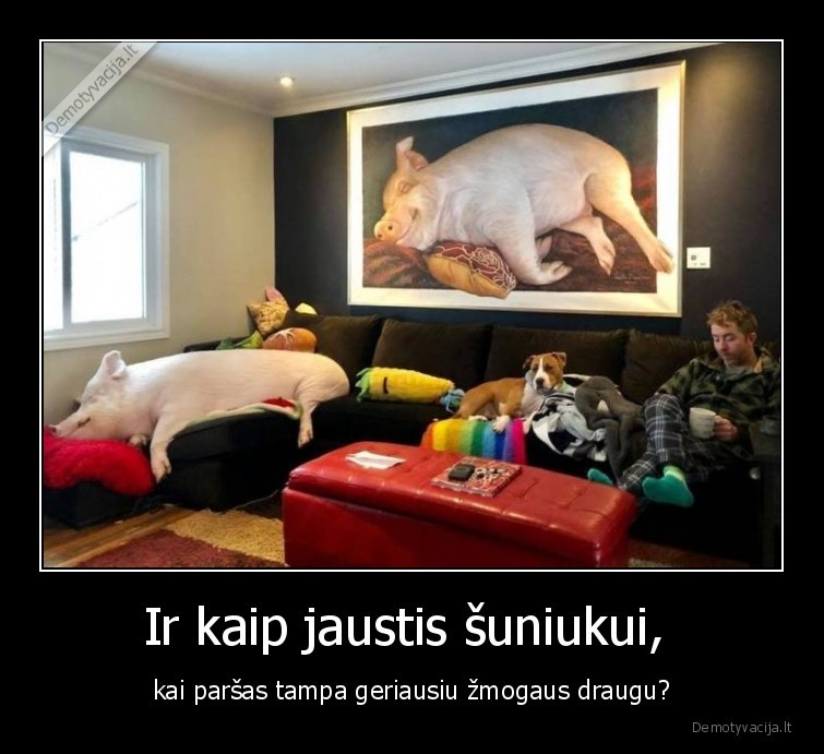 parsas,suo,geriausias,draugas