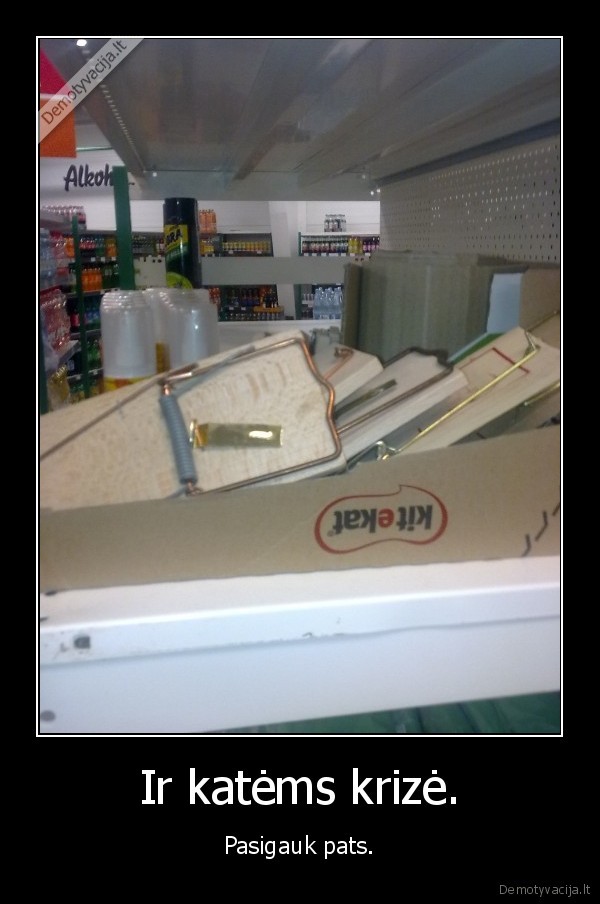 krize,kate,pasigauk,pelekautai