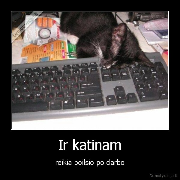 katinai,darbas
