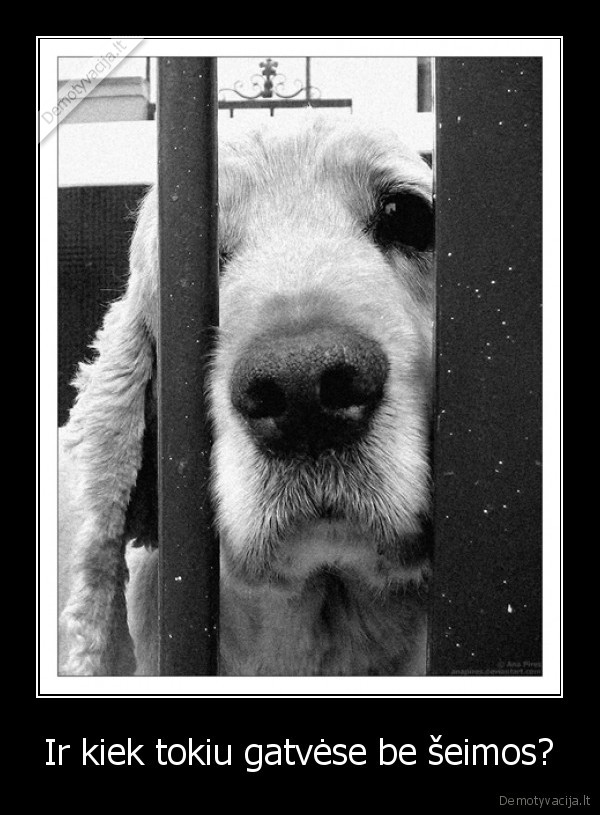 Ir kiek tokiu gatvėse be šeimos?