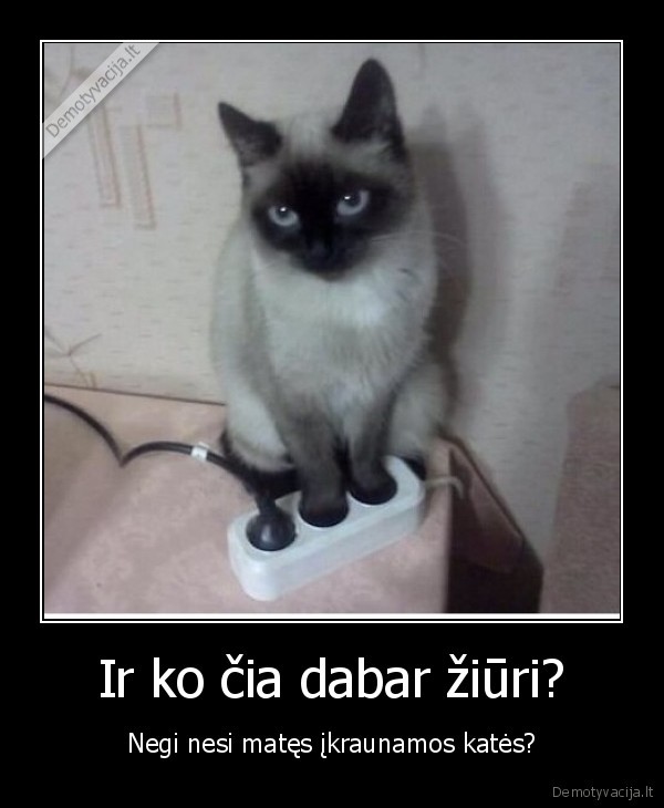 kate, kraunasi,prailgintuvas,elektra