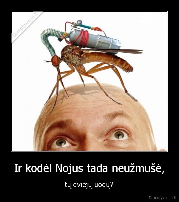 Ir kodėl Nojus tada neužmušė,
