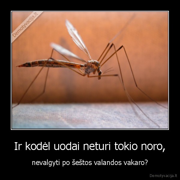 Ir kodėl uodai neturi tokio noro,