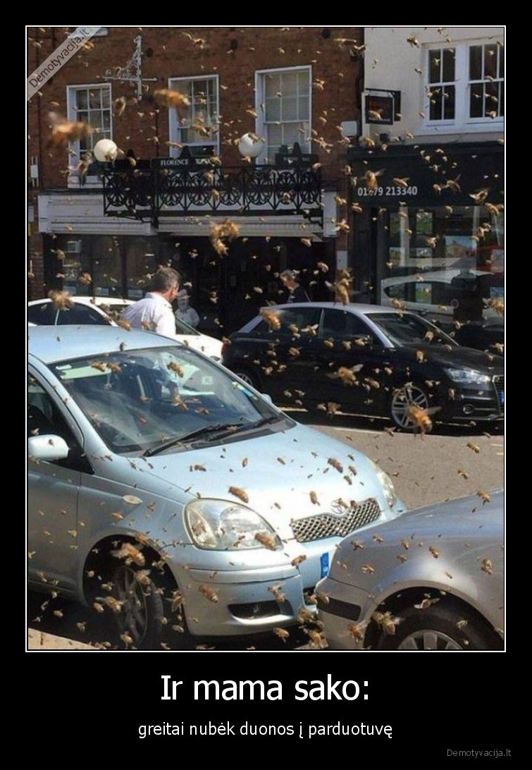 mama,mia,sirses,baisu