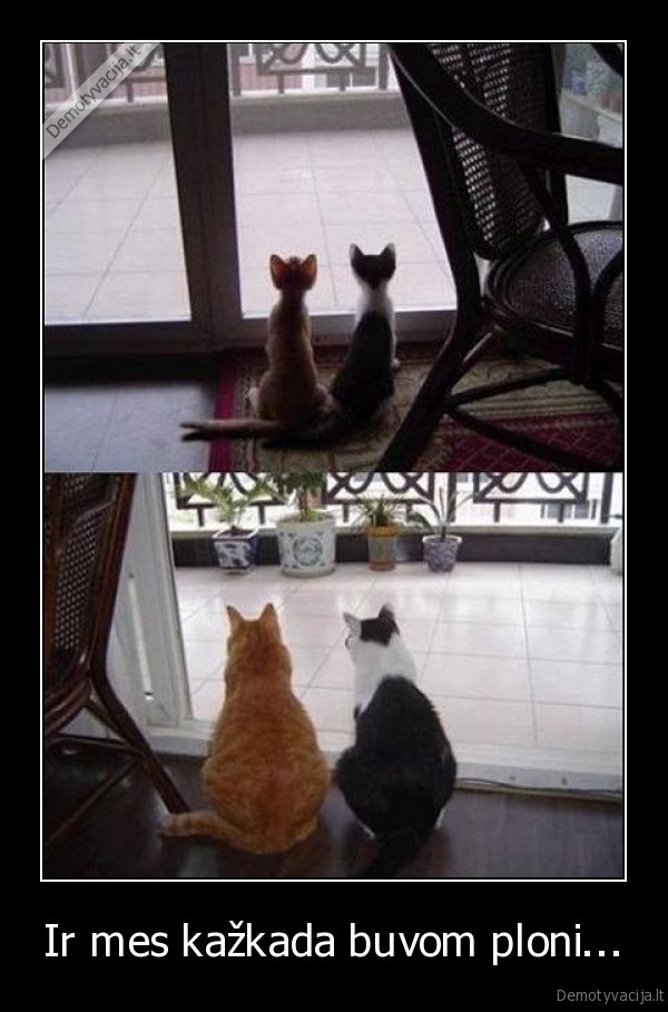 stori,ploni,manikenai,stori, katinai,ploni, katinai