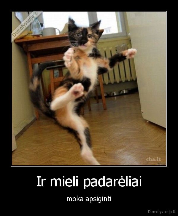 Ir mieli padarėliai