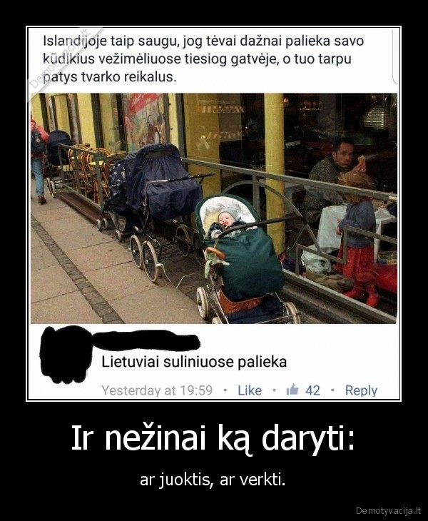 sulinys,vaikai,lietuva,islandija