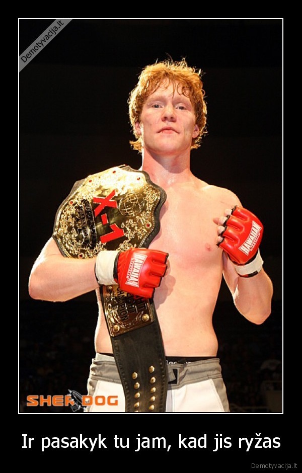 ryzas,gingers,do, have, souls