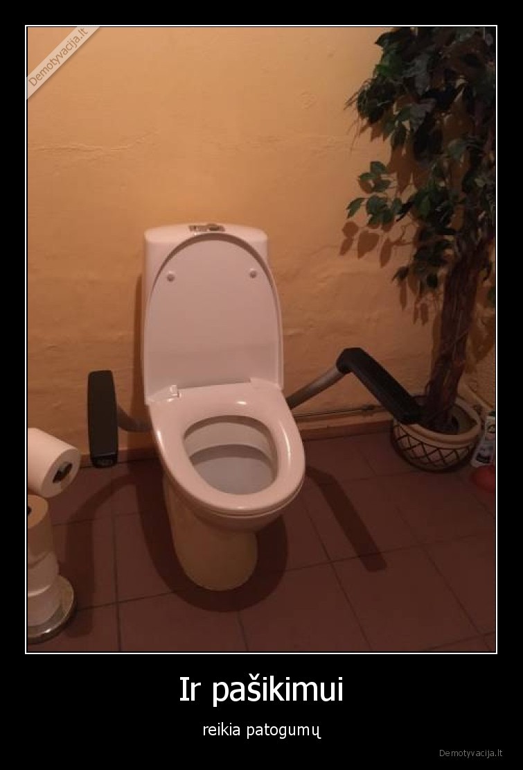 pasikimas,tualetas,patogumai,interjeras