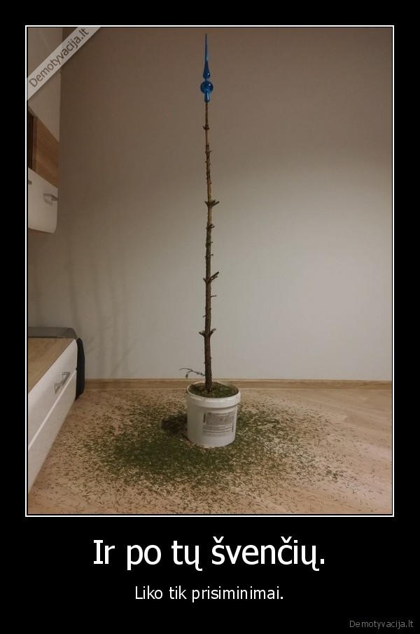 sventes,pagirios,kaledos,nauji, metai,ziema,egle,pirmadienis,balius,prisi