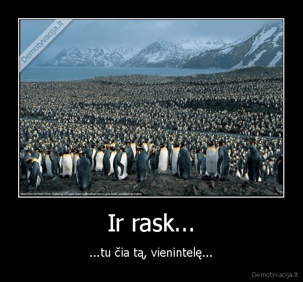 Ir rask...