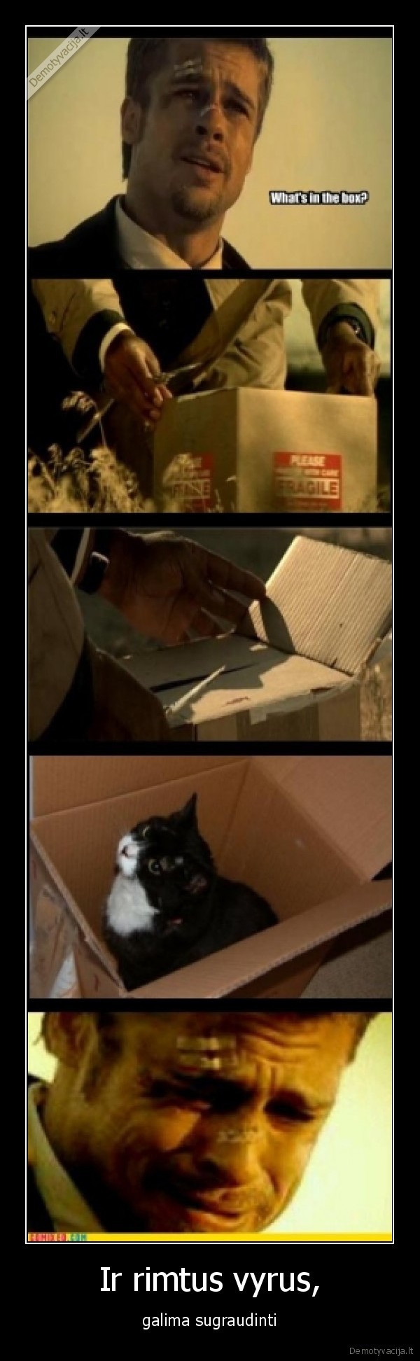 Ir rimtus vyrus,