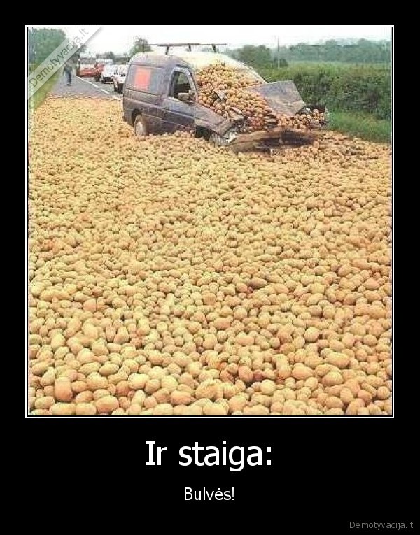 bulves,jos,daznai,aciranda,is,niekur