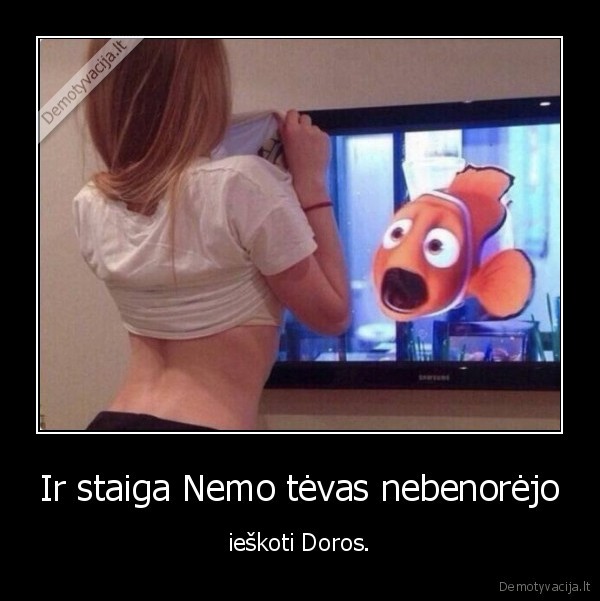 nemo,dora,mergina,papai